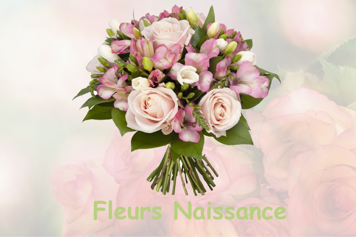 fleurs naissance LOIRE-LES-MARAIS